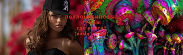 a pvp Медногорск