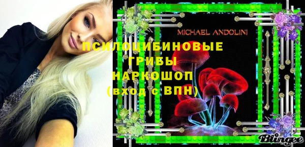 дмт Медвежьегорск