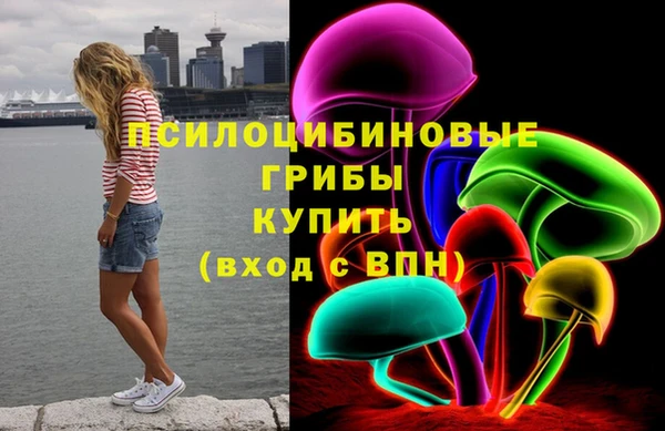 дмт Медвежьегорск