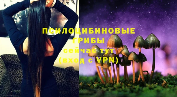 МДПВ Мегион