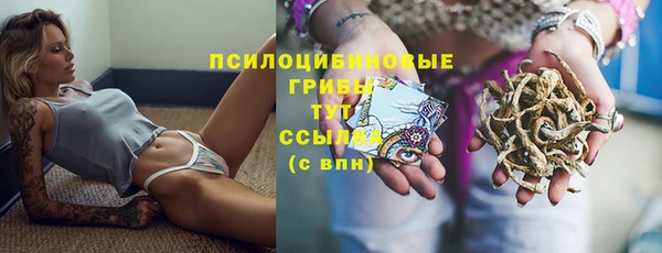 МДПВ Мегион