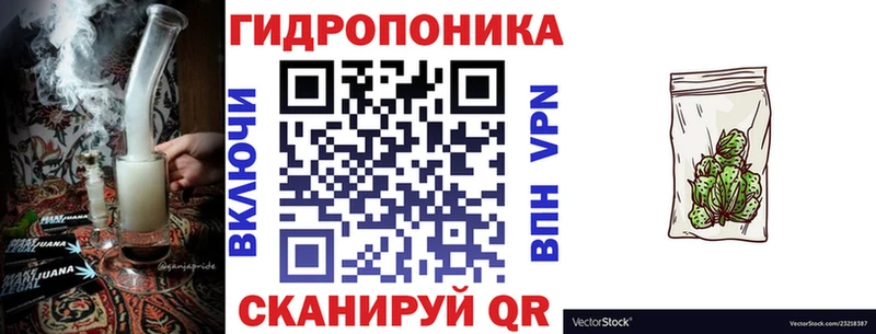 Конопля Ganja  Купить где  Павловская 